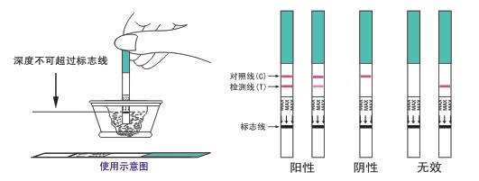 diagnostickitforhcgcolloidalgold100条装