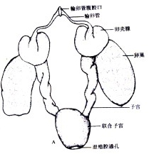 http://www.isnri.com/uploadFile/userfiles/images/20131012161643179.jpg